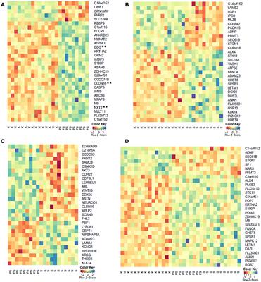 DNA Methylation Profiles in Whole Blood of Huntington's Disease Patients